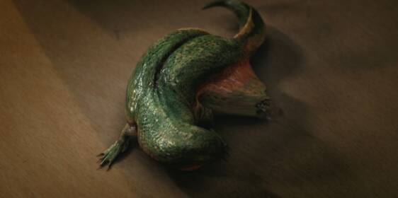 Глава третья: Головастик